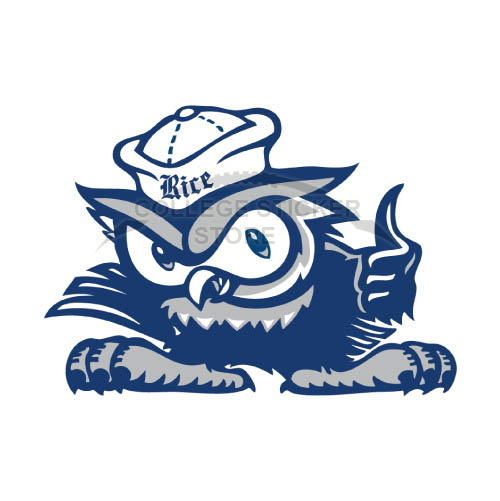 Homemade Rice Owls Iron-on Transfers (Wall Stickers)NO.5991